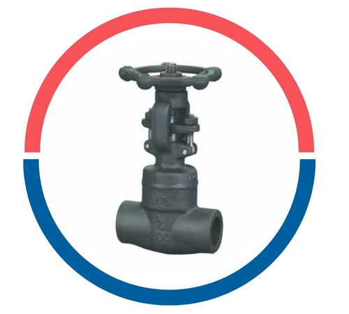 Forged Gate Valve (OS & Y Type)
