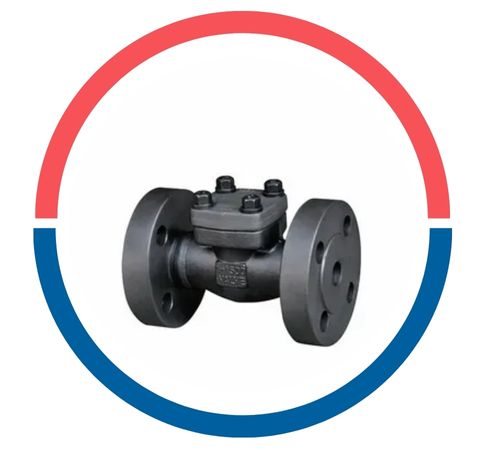 Forged Check Valve